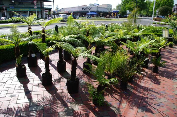 Cambridge trash & treasure market 2nd Sunday each month