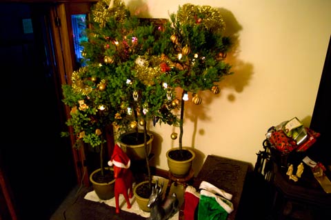 Family celebration Taranaki New Zealand