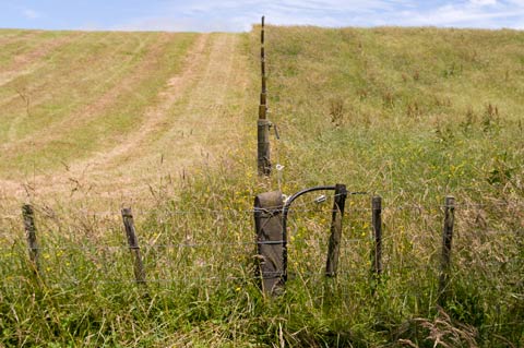 Paddocks, Tikorangi Road, Taranaki
