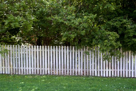 Fence, Tikorangi Road, Taranaki