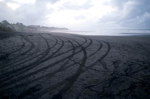 Quad bike tracks Oakura Beach Taranaki