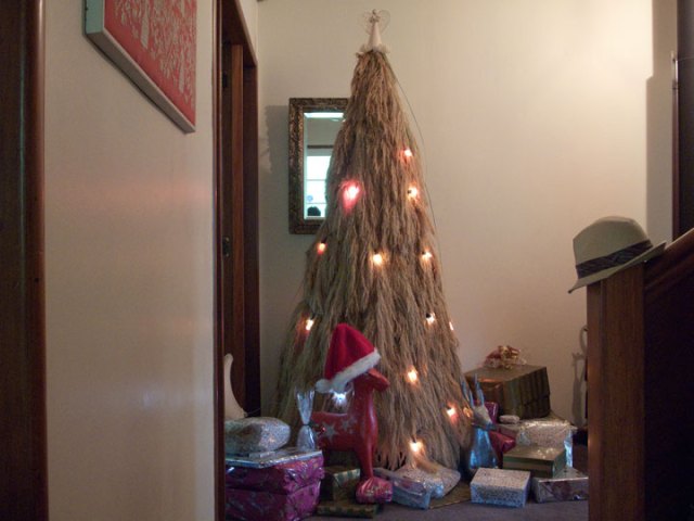Christmas Tree, Tikorangi, Taranaki, New Zealand