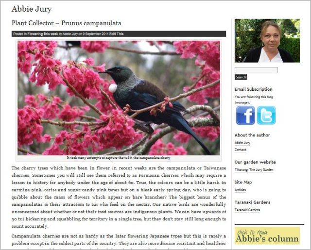 Abbie Jury | Tikorangi the Jury garden
