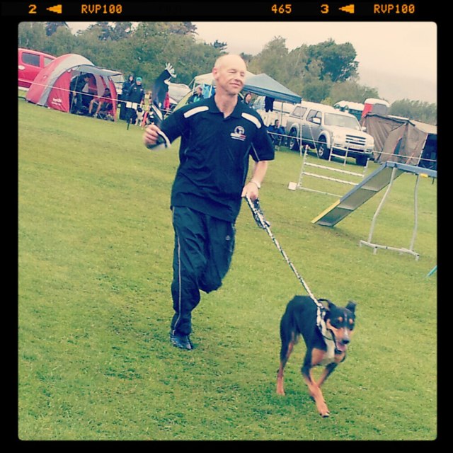 New Zealand Dog Agility Championship