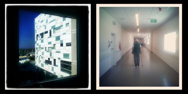 Meade Clinical Centre – Waikato Hospital