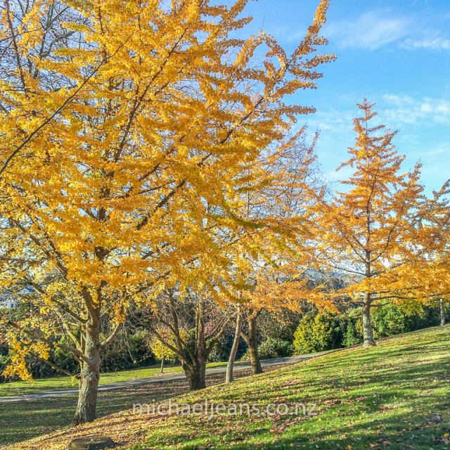 Gil Lumb Park, Leamington