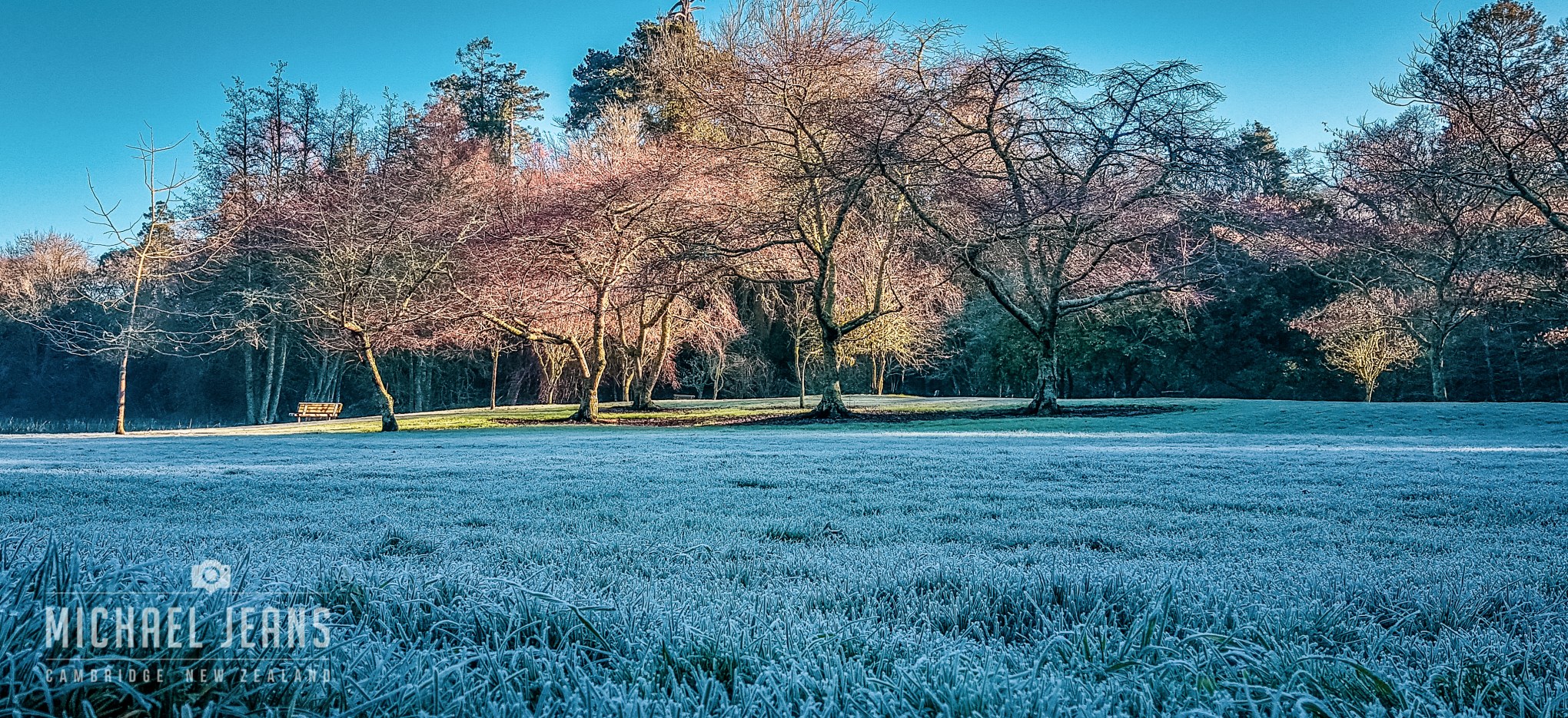 Te Kō Utu Park, Cambridge Domain, Waikato, New Zealand. 27 June 2018