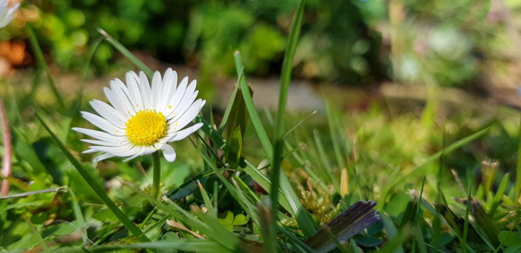 Wednesday 12 September 2018