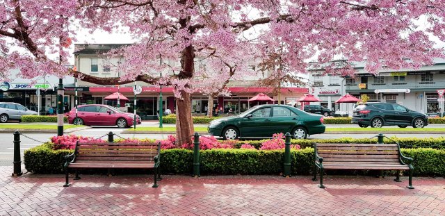 Cambridge CBD, Waikato, New Zealand