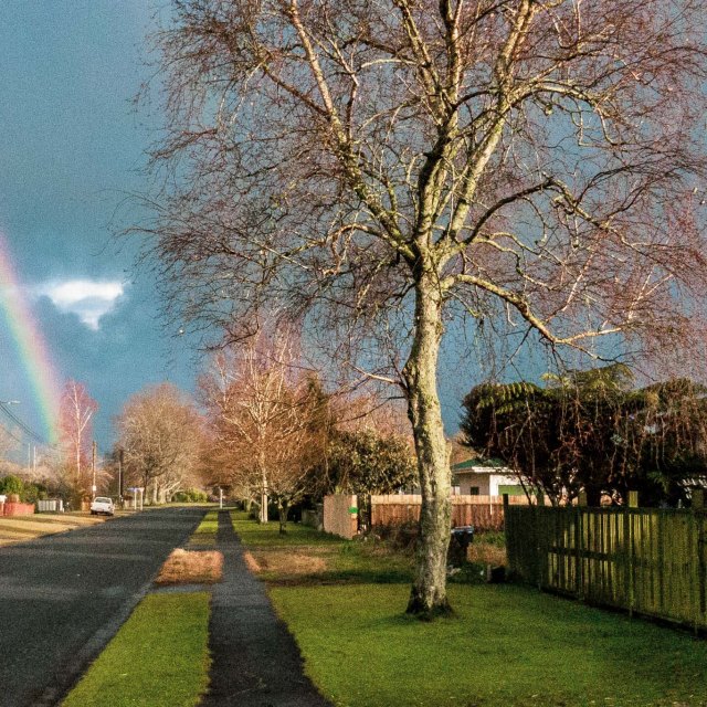 'always the rainbow'