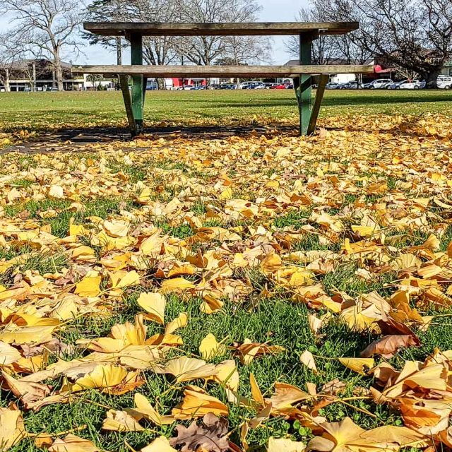 Victoria Square, Cambridge, New Zealand.