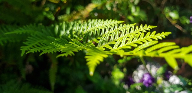 home 2018-10-26 15.28.17