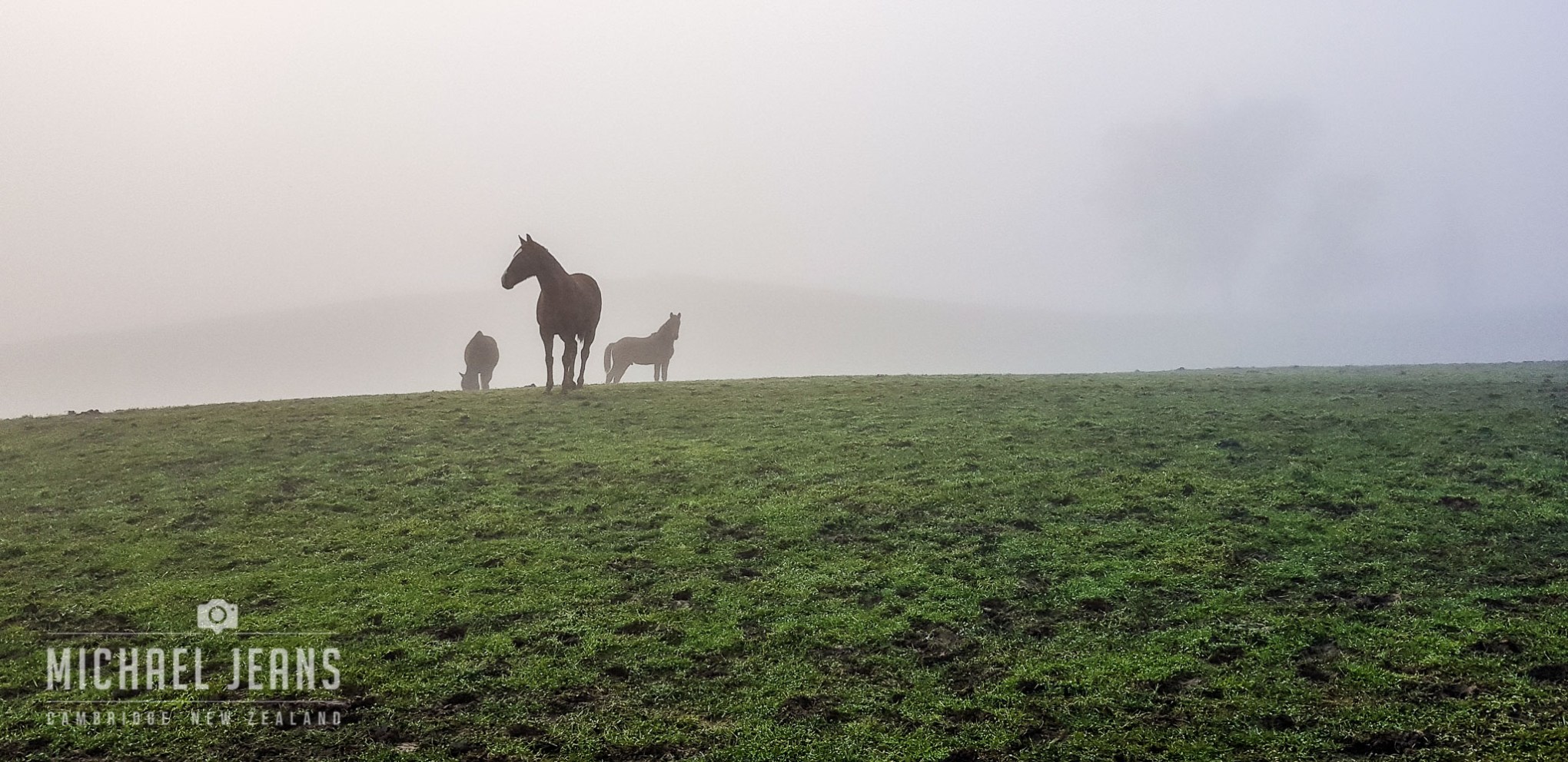 Pukekura, Waikato, North Island, New Zealand