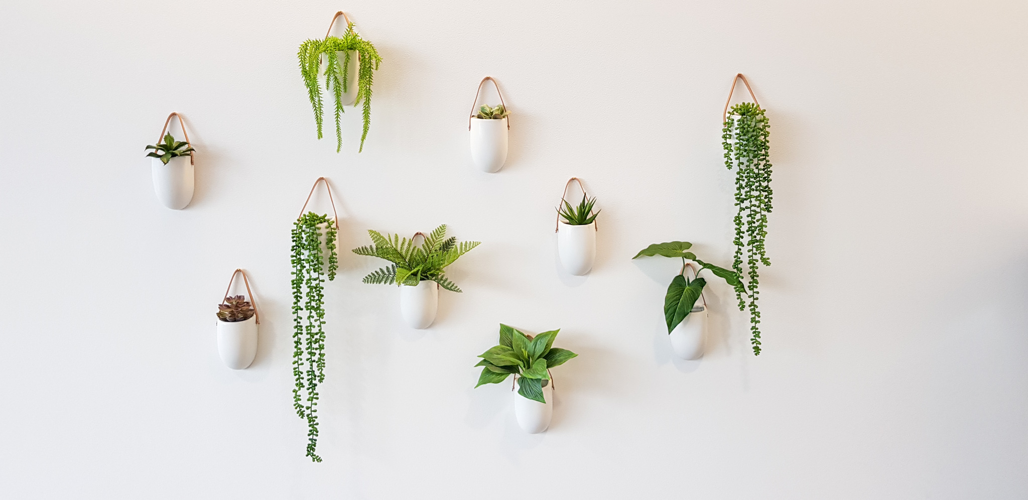 Shakespeare Street, Leamington, Waikato.