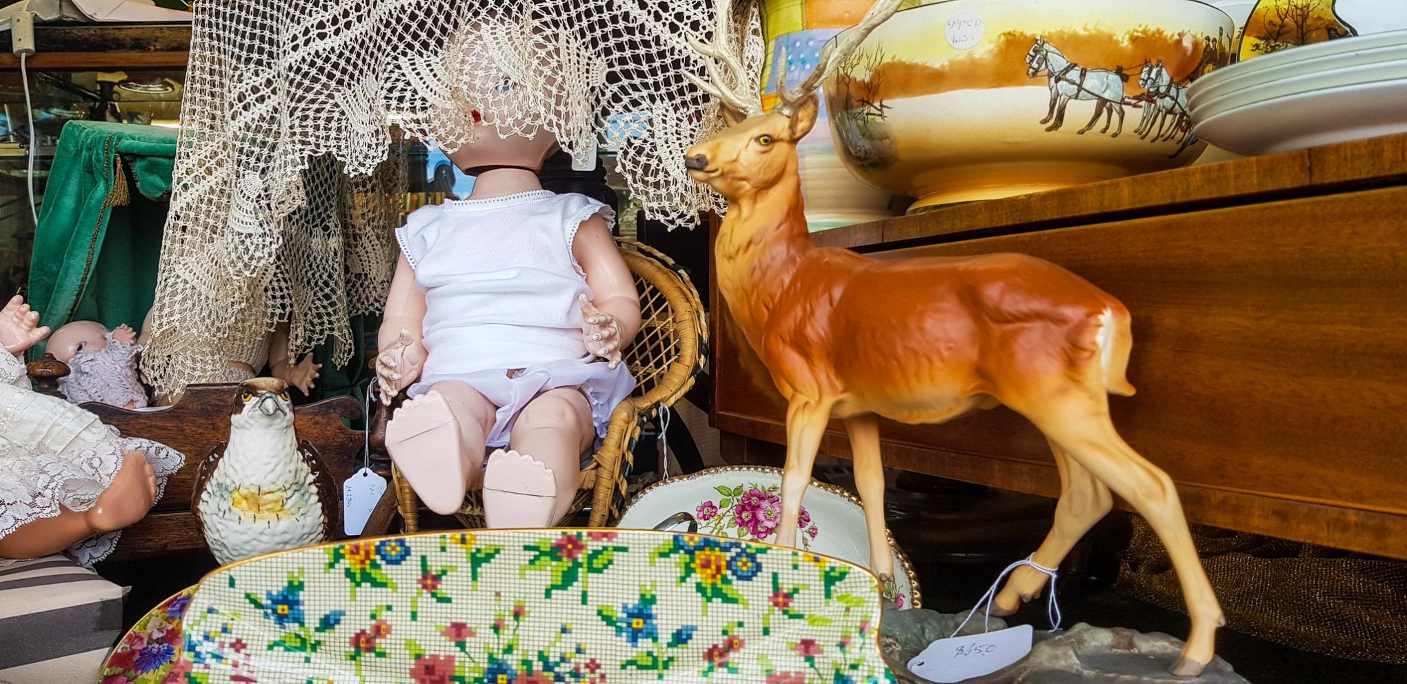 window display empire street cambridge cbd waikato new zealand monday 25 june 2018