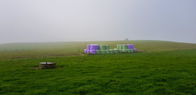 Waterworks Road Te Miro, Maungakawa Hills, Waikato, New Zealand.