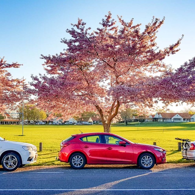 Hanlin Road, Pukeroro, Waikato, New Zealand. 29.9.18