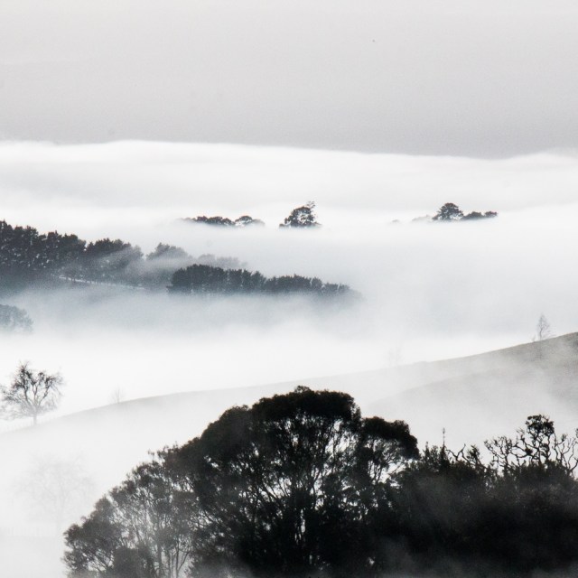 From Taotaoroa Road in the Maungakawa Hills looking north west towards the Hobbiton Movie Set some 7km distant.