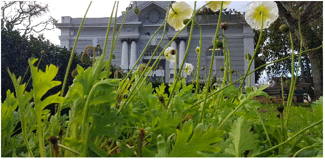 experiment | Cambridge Museum 26.7.2018 | former courthouse; a building built by my great grandfather Fred Potts.
