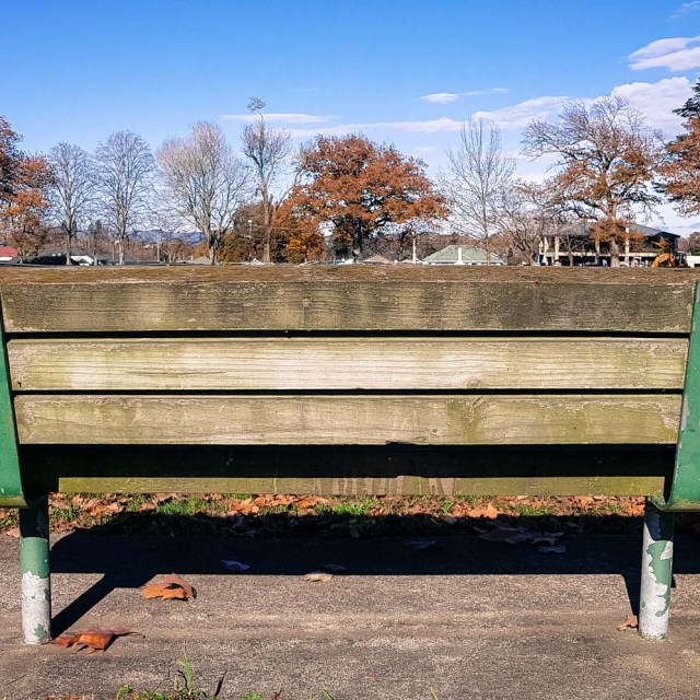 Victoria Square, Cambridge, Waikato, New Zealand.