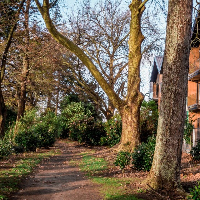 Cambridge Domain (1880) & Lakewood Cambridge (2017). June 2018. day 20