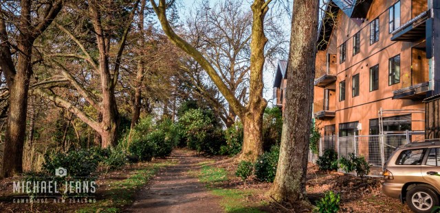 Cambridge Domain (1880) & Lakewood Cambridge (2017). June 2018. day 20