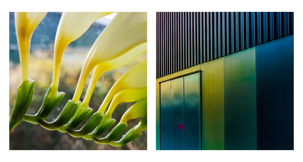 twin images morning evening