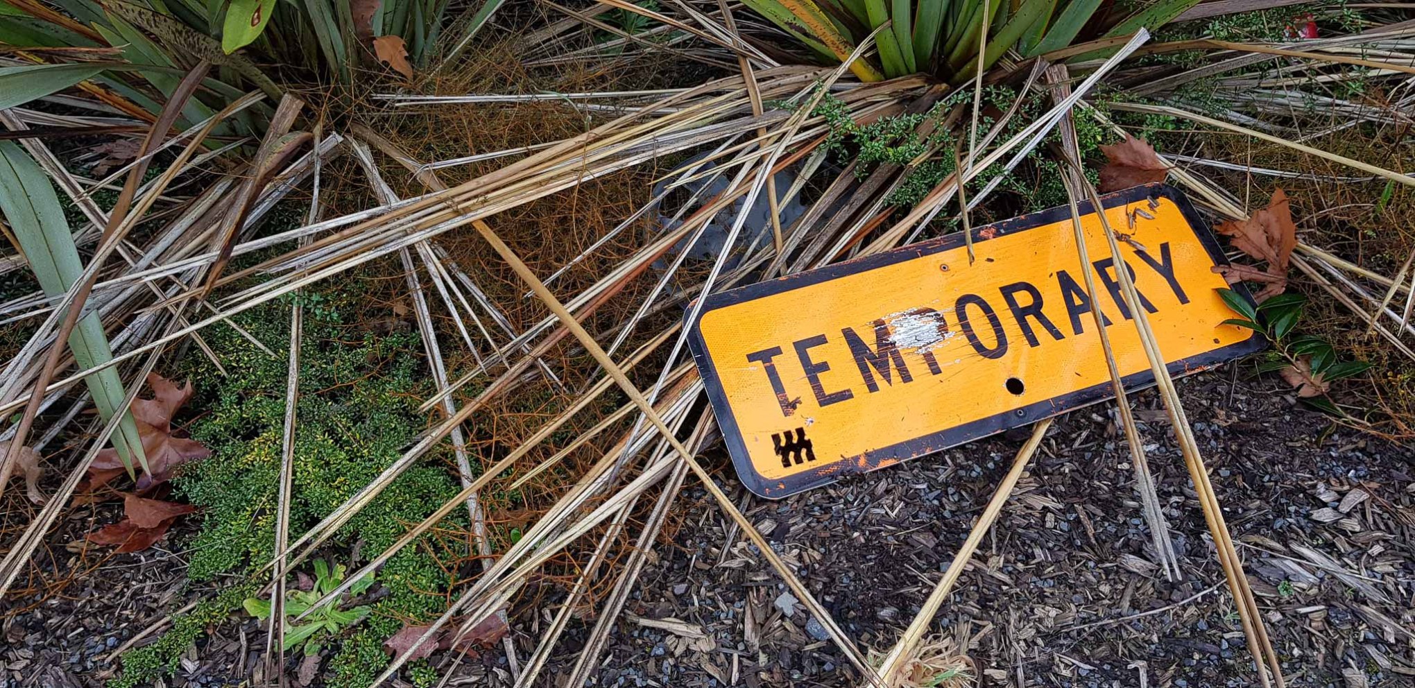 ///retaken.described.saints