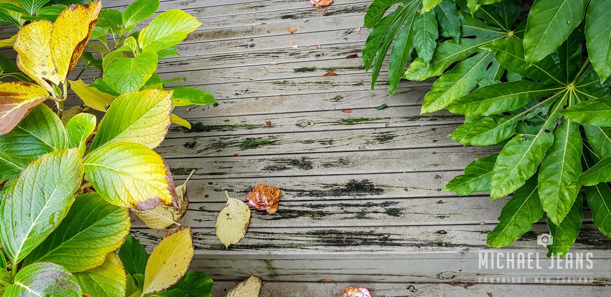 step. Saturday 23 June 2018 / day 25