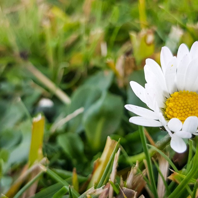 as always. day 57 in the current era