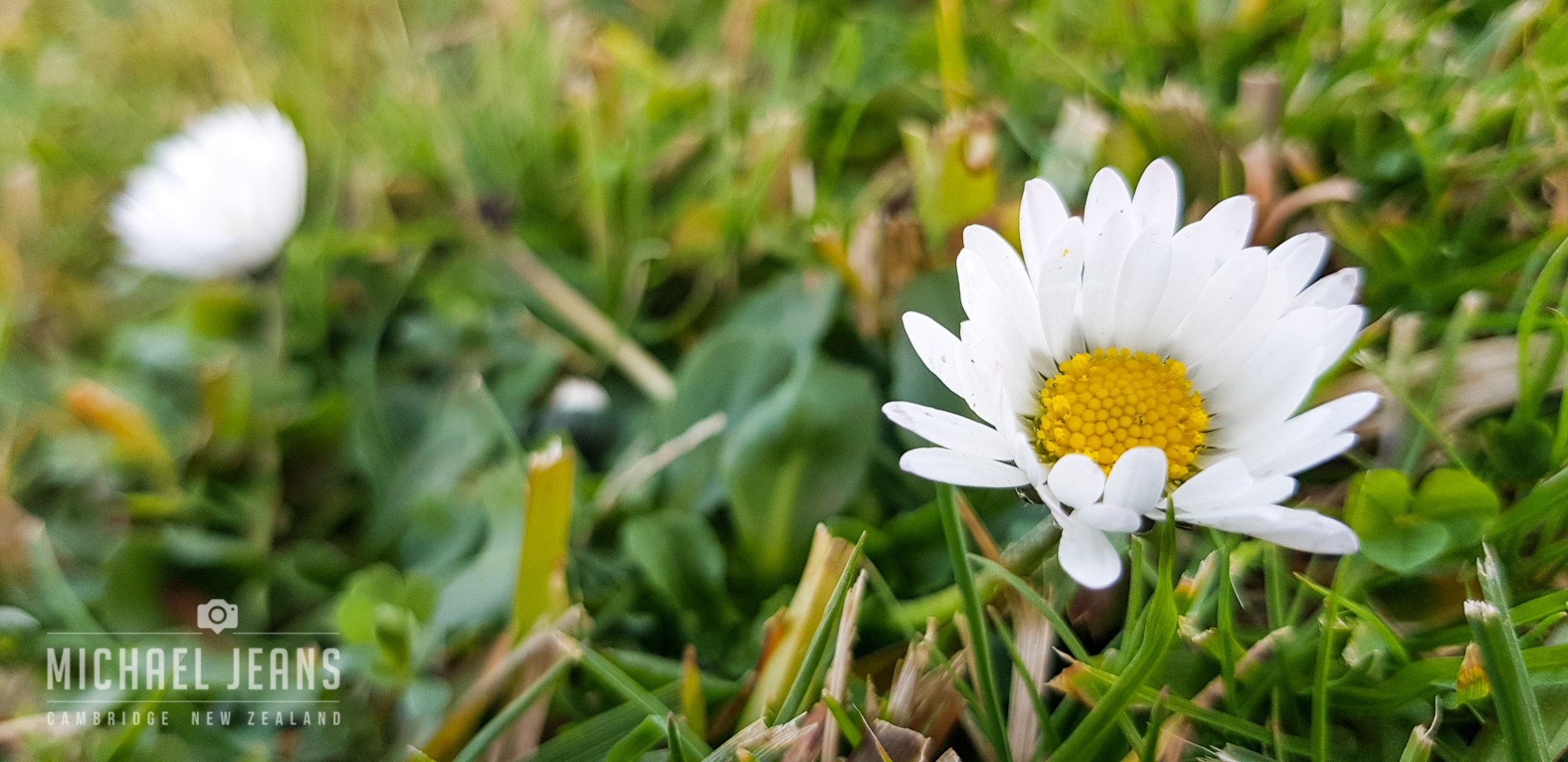 as always. day 57 in the current era