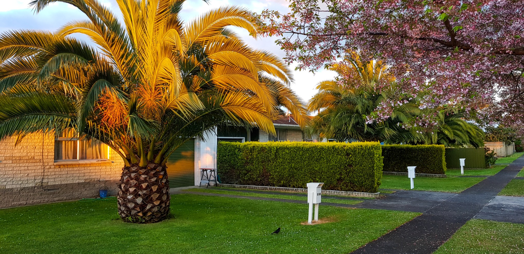 Burns & Byron corner, Leamington, Waikato