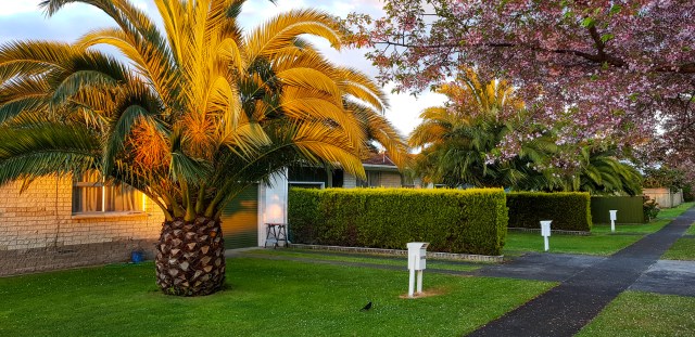 Burns & Byron corner, Leamington, Waikato