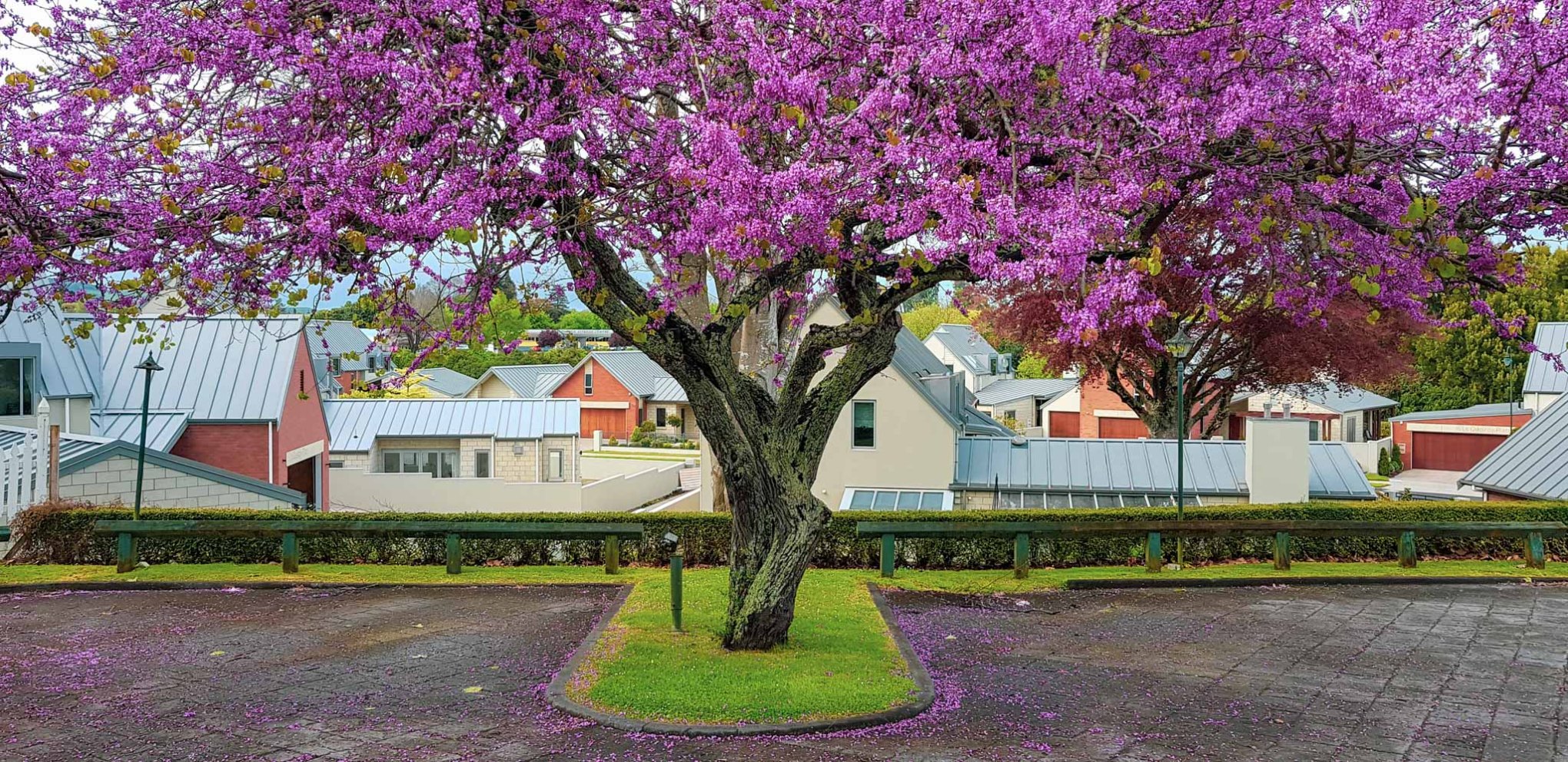 Victoria & Le Quesnoy, Cambridge, New Zealand