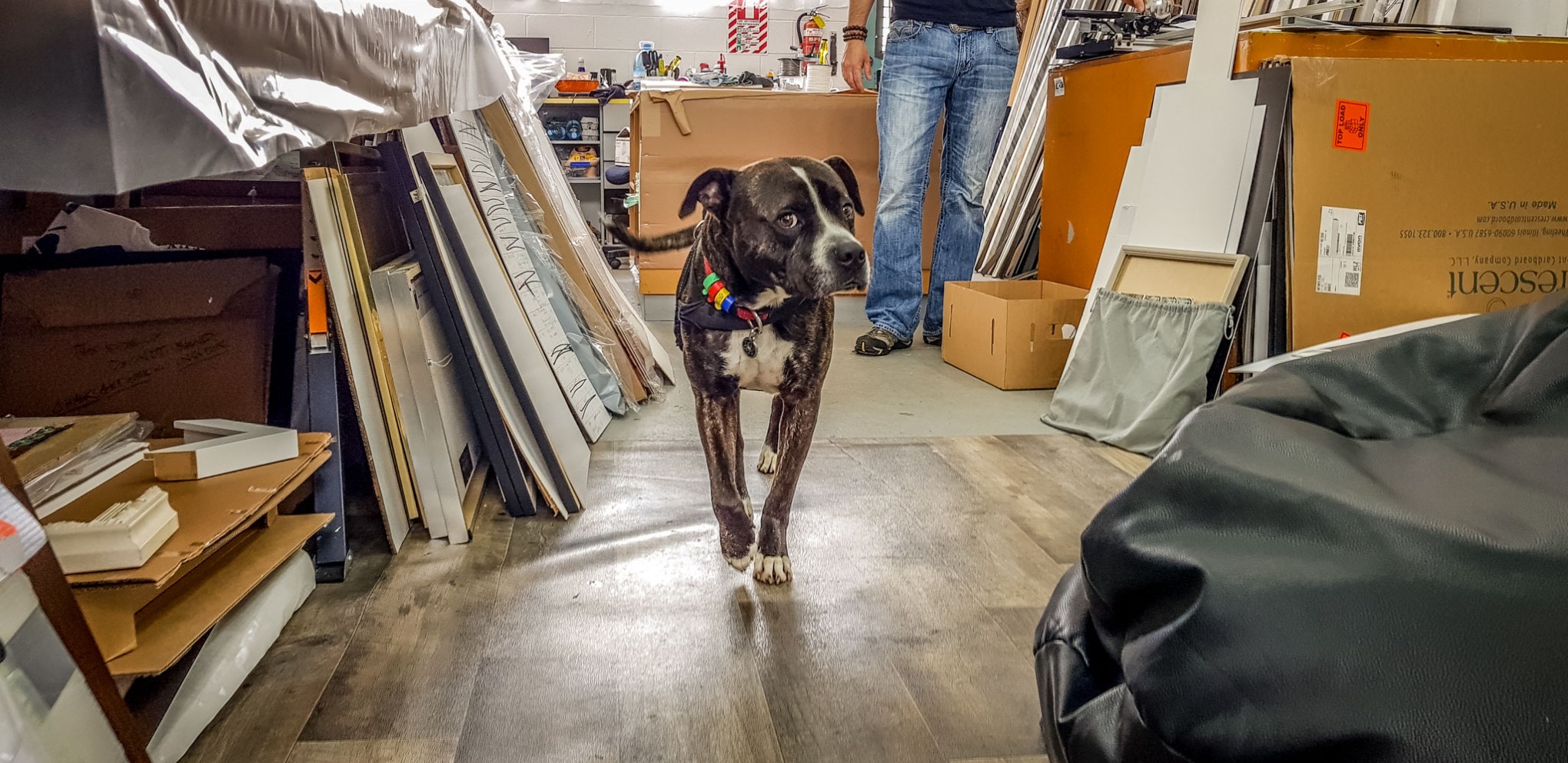 2018-10-12 10.48.17-1