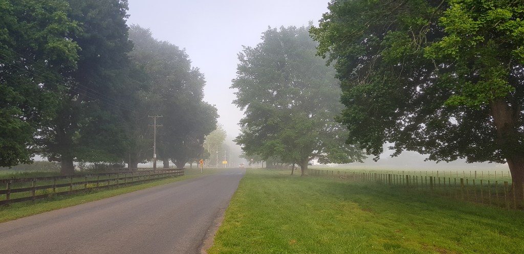 Wed. 7. Nov.&nbsp;2018