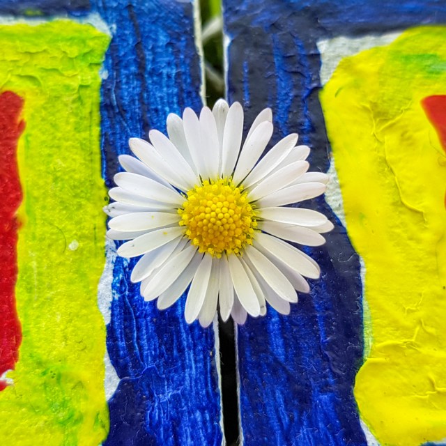 2018-10-23 16.29.35-1 combined forces