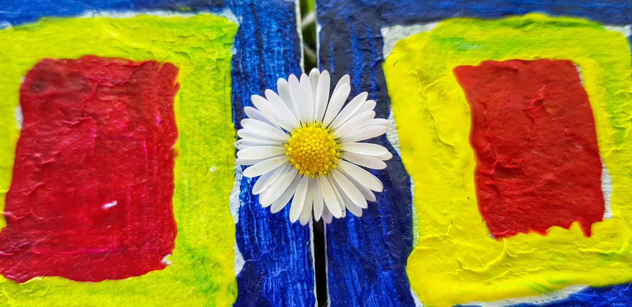 2018-10-23 16.29.35-1 combined forces