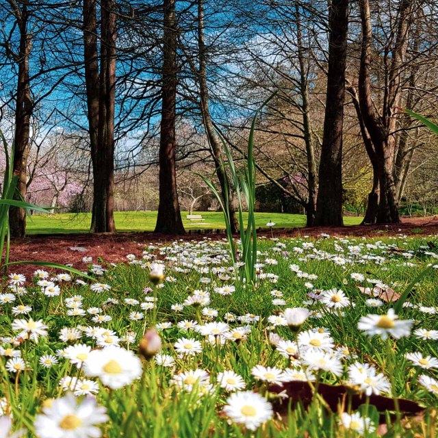 a small but satisfying illusion