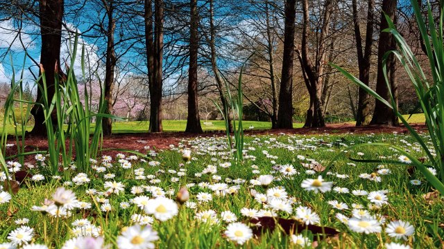 a small but satisfying illusion