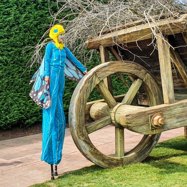 Surrealist Garden, Hamilton Gardens, Waikato, New Zealand.