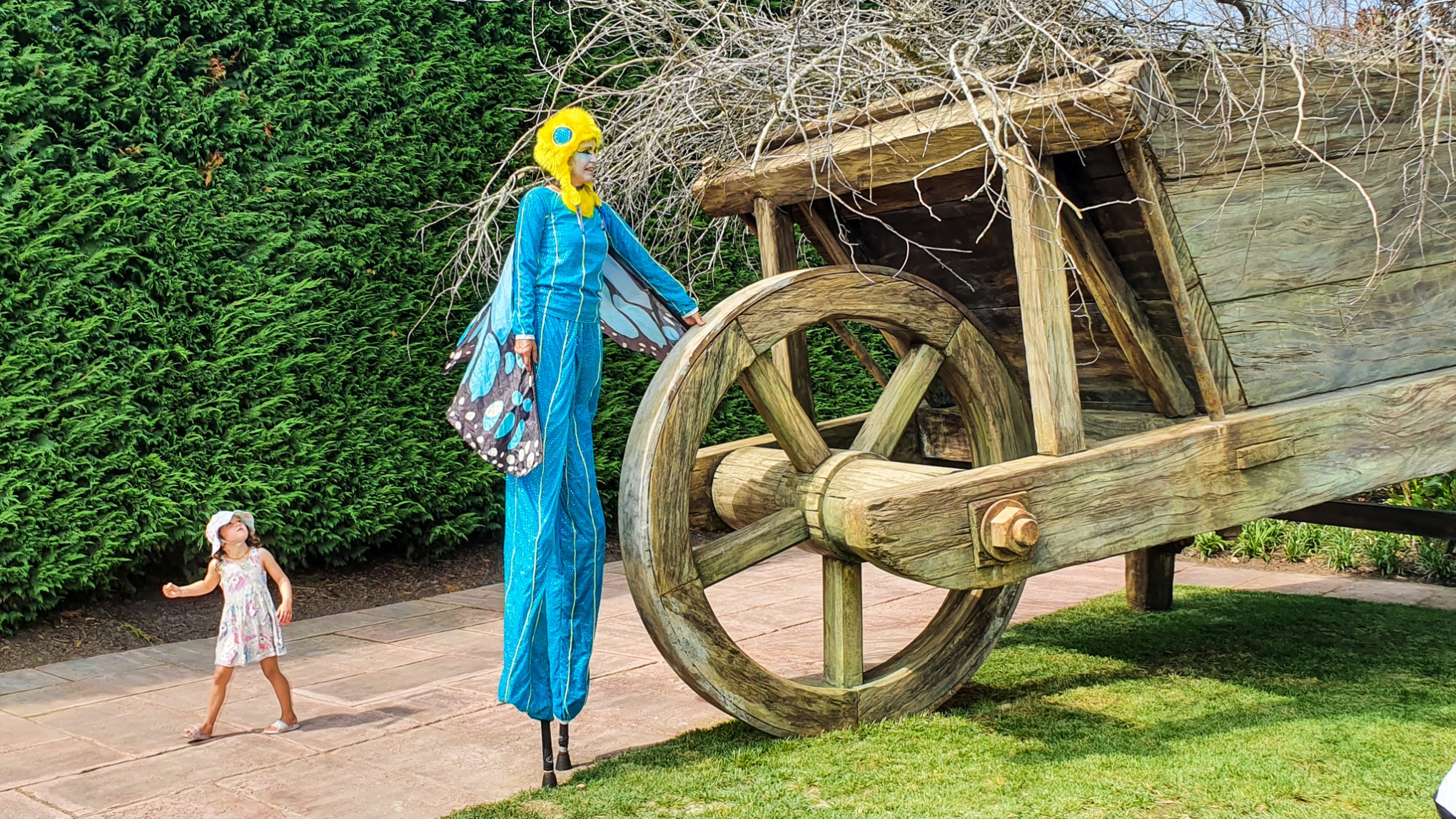 Surrealist Garden, Hamilton Gardens, Waikato, New Zealand.
