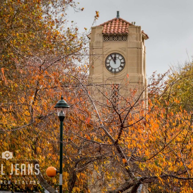 clock jubilee gardens cambridge new zealand