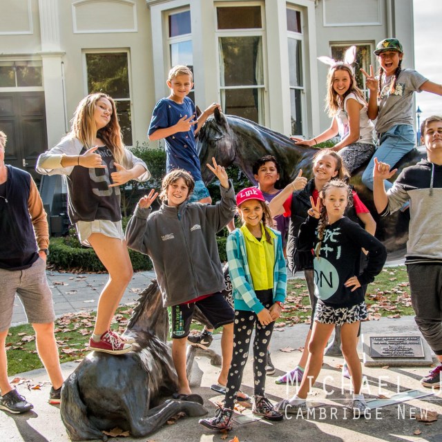 Mare and foal Town Hall Cambridge New Zealand