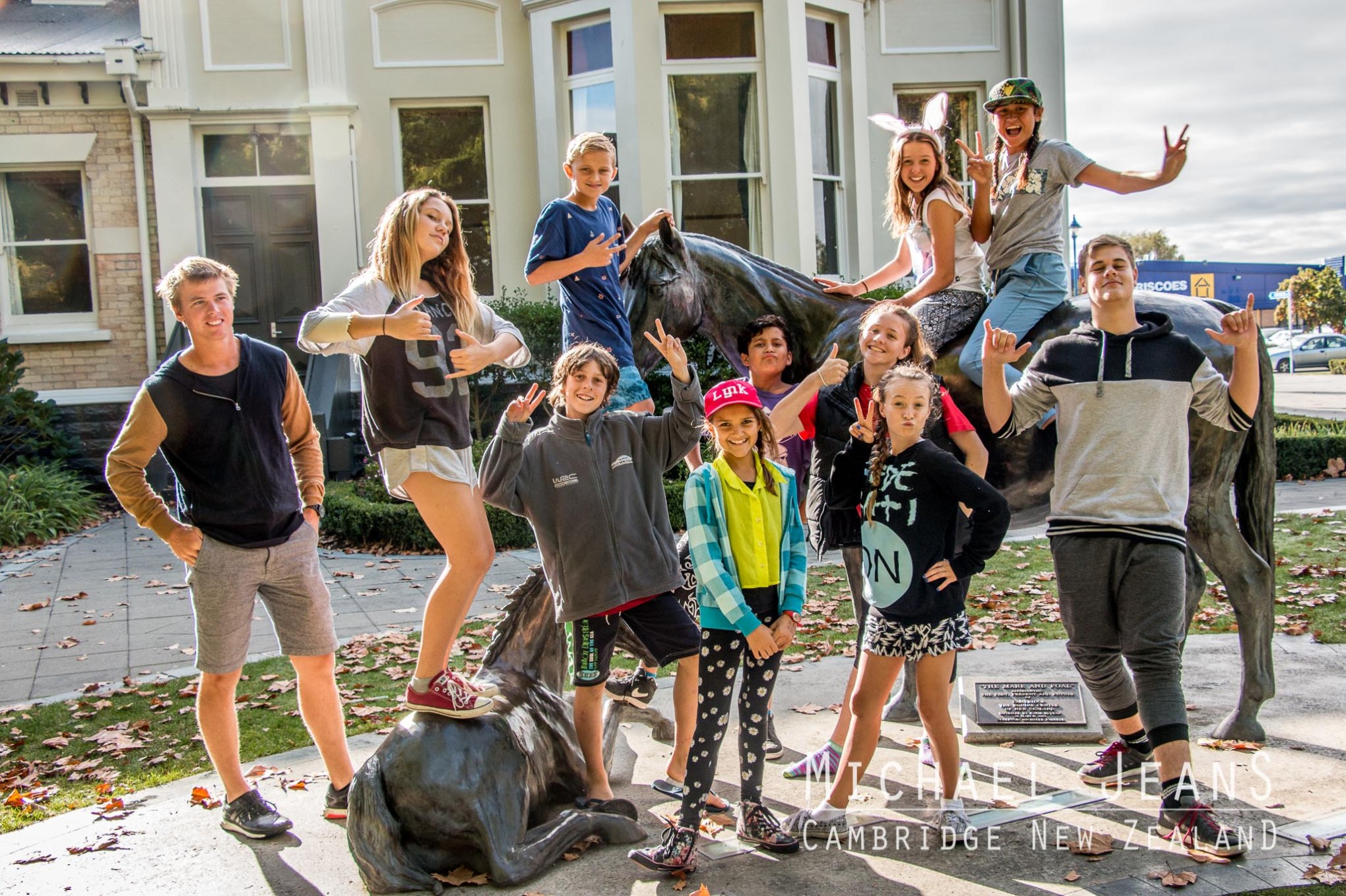 Mare and foal Town Hall Cambridge New Zealand