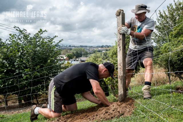 CCG Cambridge Community Garden