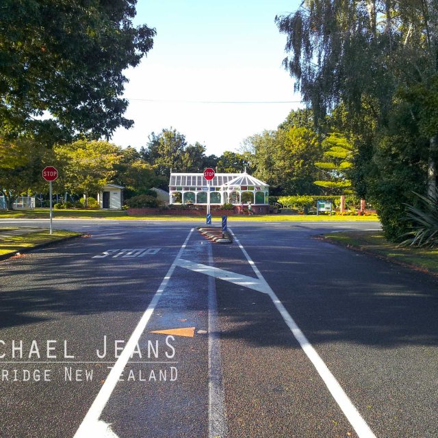 Begonia house Cambridge Domain on Thornton Road from Bowen Street