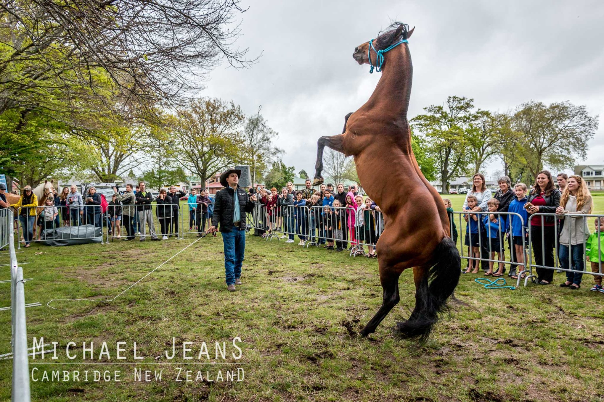 Dan Steers & Double Image