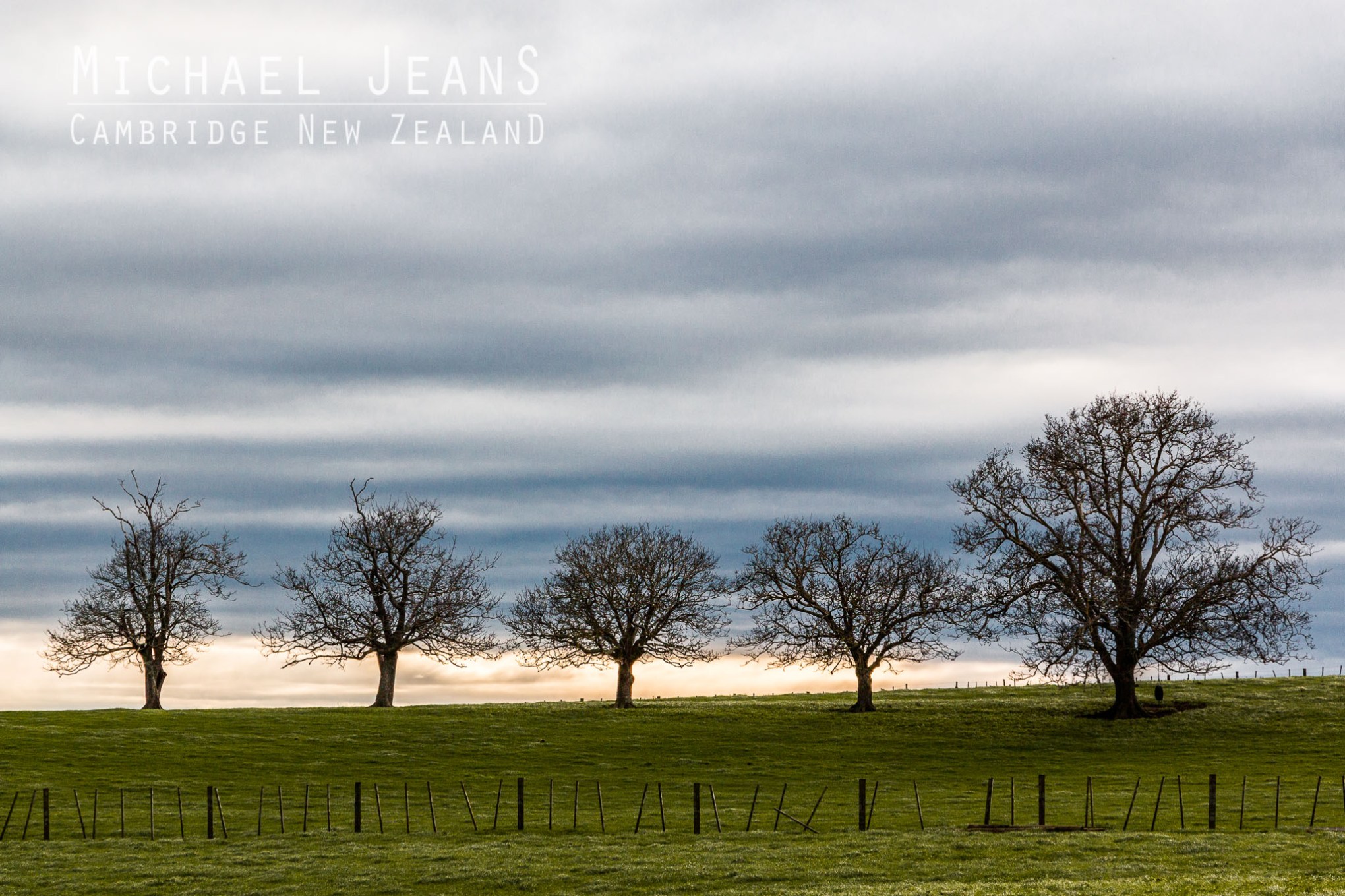 Five trees Redoubt Road Pukekura Waikato New Zealand