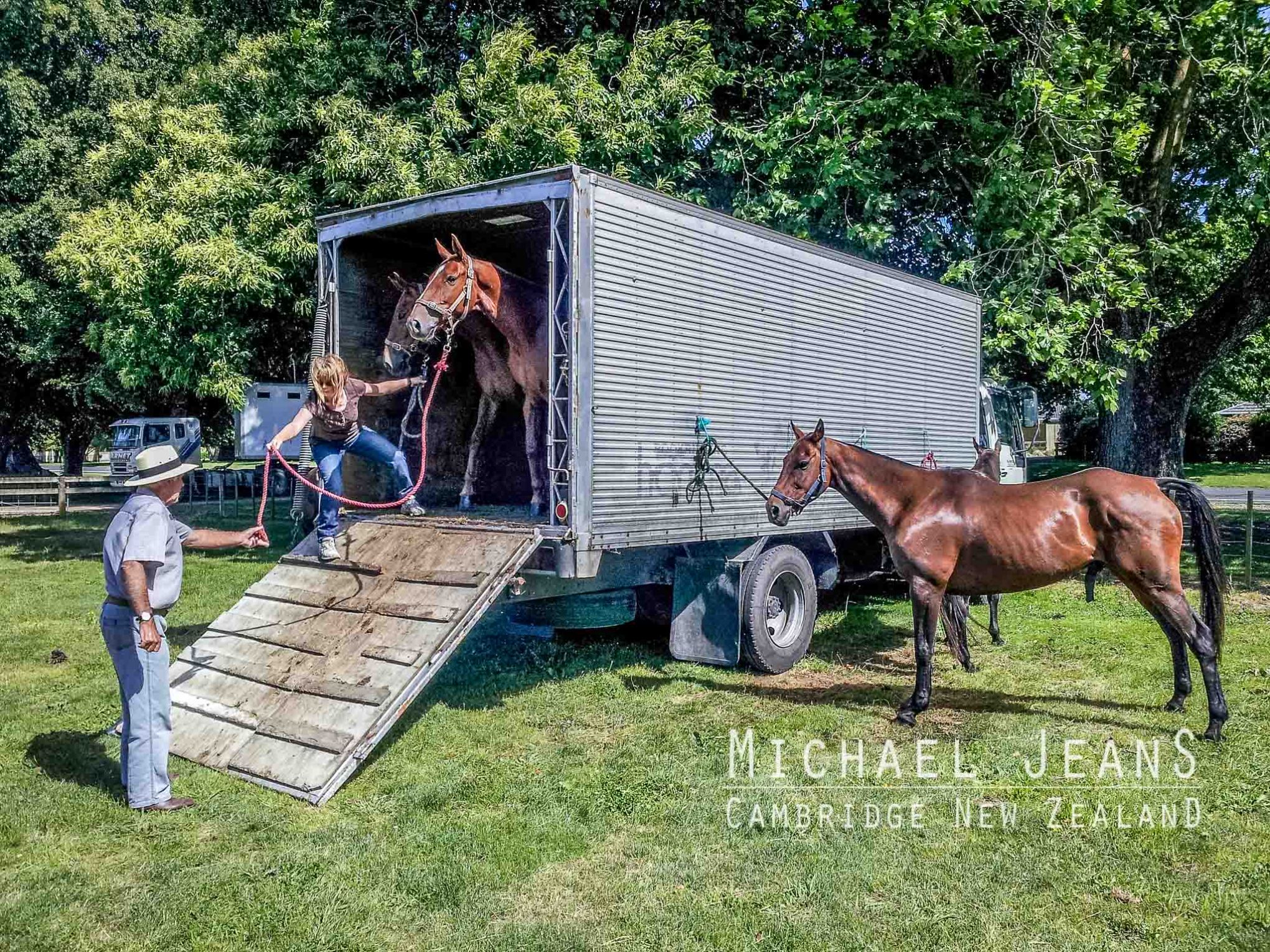 Cambridge Polo Club Town Belt Lamb Street Leamington New Zealand